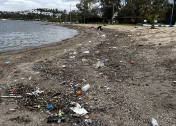 Bodrum'da sağanak sonrası sahiller çöple doldu