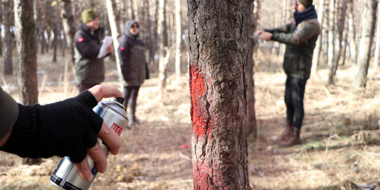 Bozkırın ortasındaki vahayı kök tembelliği kurutmuş