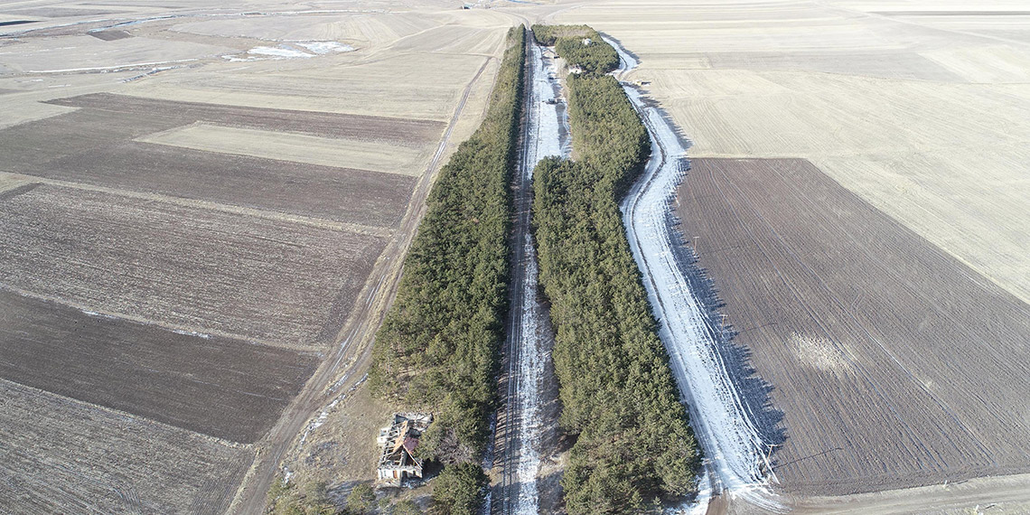 Bozkırın ortasındaki vahayı kök tembelliği kurutmuş