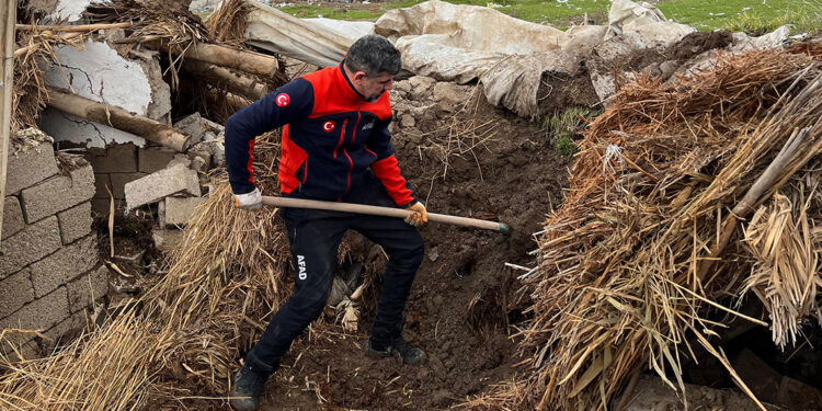 Çöken ahırdaki 8 yavru köpekten 5'i sağ çıkarıldı