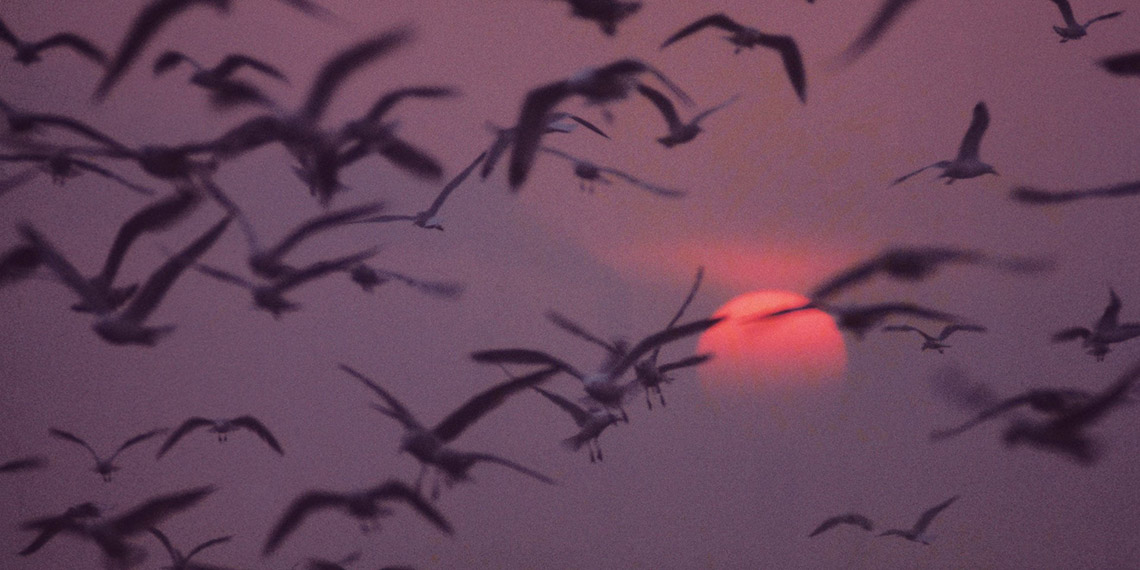 Eczacıbaşı Fotoğrafçılar Serisi’nin 14’üncü eseri yayımlandı