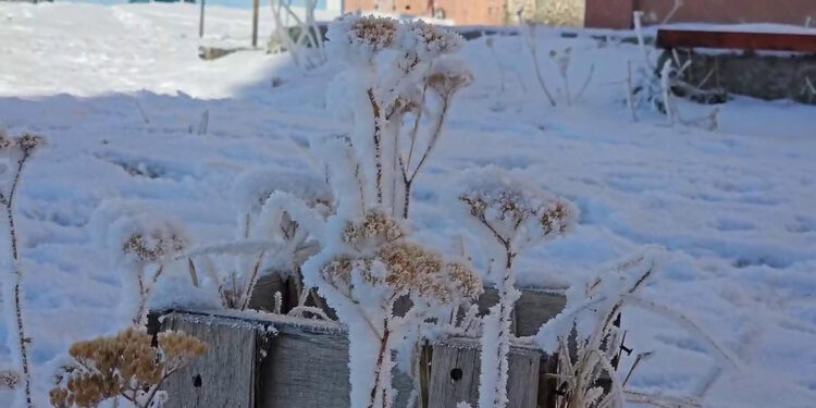 Göle, eksi 28,4 ile Türkiye'nin en soğuk yerleşim yeri oldu