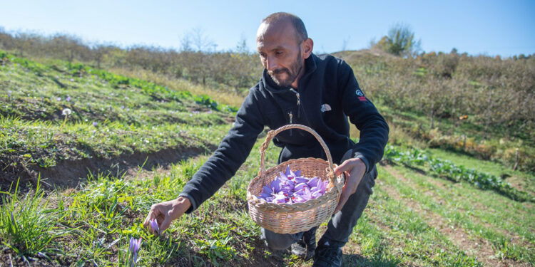 İhtisas üniversiteleri marka olmak için yarışıyor