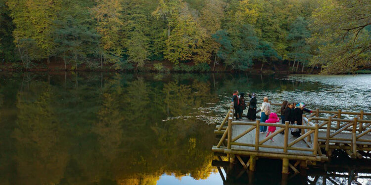 İnsanlar, Yedigöller Milli Parkı'nda doğal dengeyi bozuyor