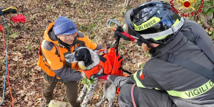 İtalya'da kuyuya düşen köpeği itfaiye kurtardı