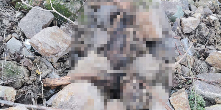 İzmir'de Tarihi Asansör yakınında insan iskeleti bulundu