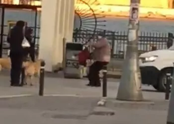 Kadıköy'de başıboş köpekler sokaktakilere saldırdı