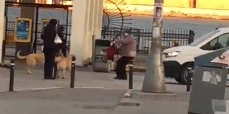 Kadıköy'de başıboş köpekler sokaktakilere saldırdı
