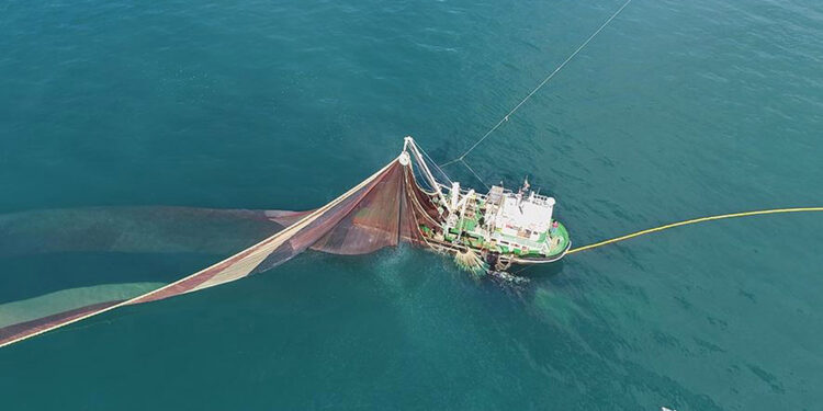 Karadeniz ısınıyor, avlanabilen balık türleri azalıyor