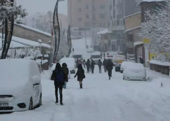 Karlıova'da kar etkili oldu
