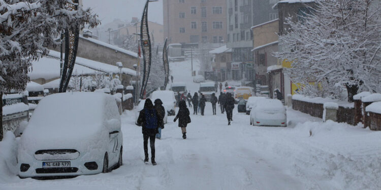 Karlıova'da kar etkili oldu