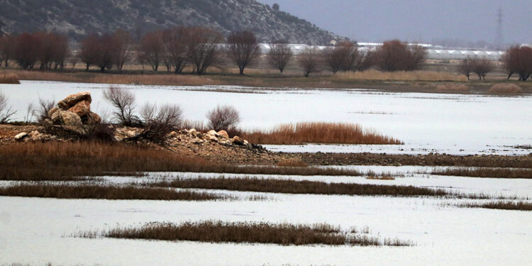 Kuruyan Avlan Gölü'nde sevindiren yağış
