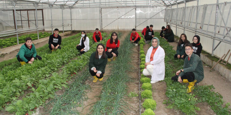 Liselilerin serada yetiştirdiği sebzeler sofrada