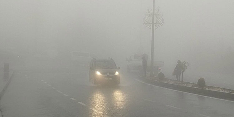 Mardin'de sis etkili oldu