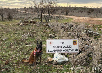 Mardin'de yola tuzaklanan EYP imha edildi