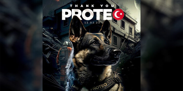 Meksika, Arkadaş'ın ilk doğum gününe herkesi davet etti