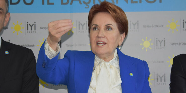 Meral Akşener'den Tuncer Bakırhan’a tepki