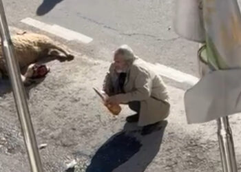 Ölen koyunuyla eylem yapan besici gözaltına alındı