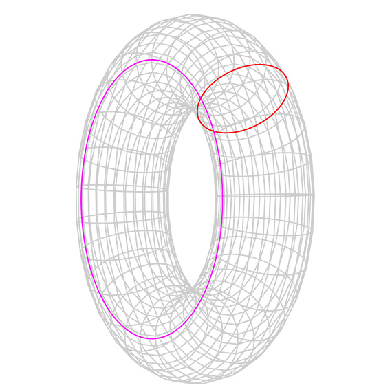 Grigori Perelman ve Poincare Konjekturu