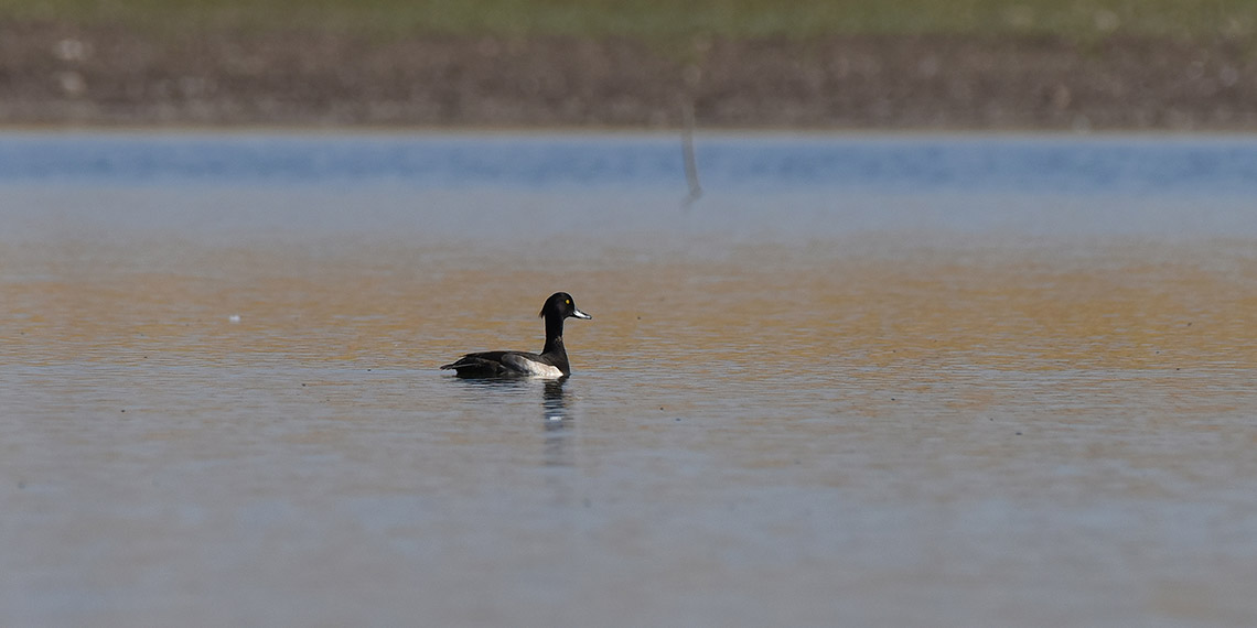 Prof. Dr. Kılıç: Yer altı sularına aşırı yüklenme var