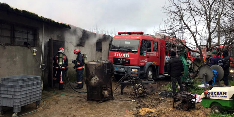 Samanlık ve ahır yangınında 9 büyükbaş öldü