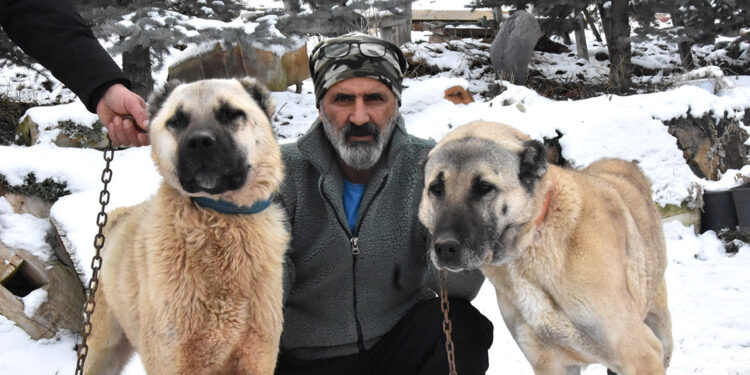 Sivas hava sıcaklığı eksi 16 dereceyi gördü