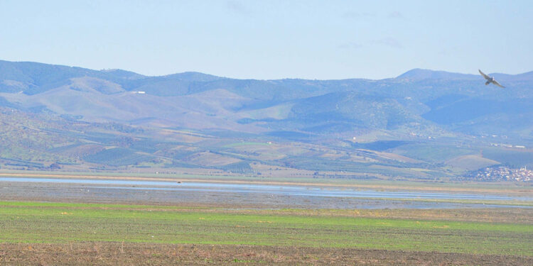 Son yağışlar, kuruyan Marmara Gölü'ne umut oldu