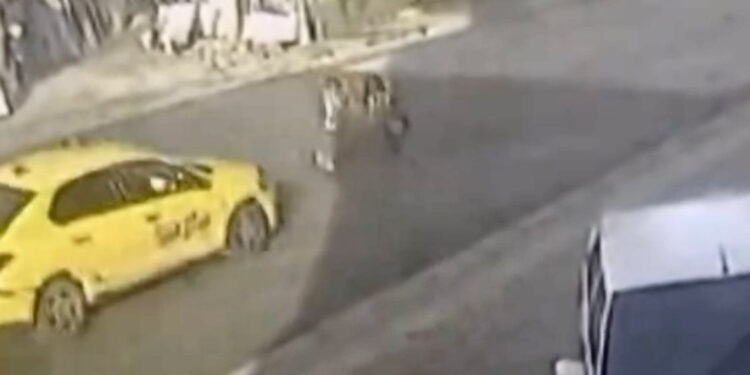 Taksinin çarptığı 2 ilkokul öğrencisi yaralandı