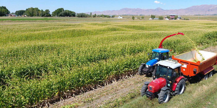 Tarımda üretici enflasyonu yıllık yüzde 52,66 oldu