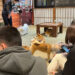 Tokyo’da gençlerin gözdesi yavru köpekli kafeler