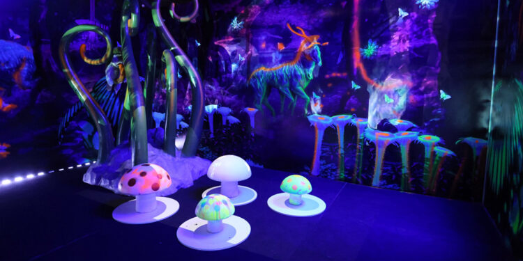 Türkiye’nin ilk 'holografik eğlence parkı' kapılarını açtı