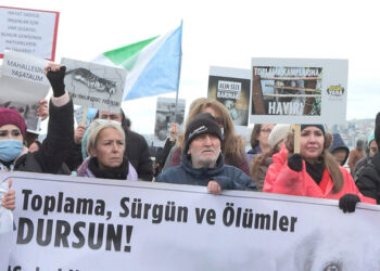 Üsküdar'da sokak hayvanları için eylem