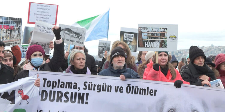Üsküdar'da sokak hayvanları için eylem