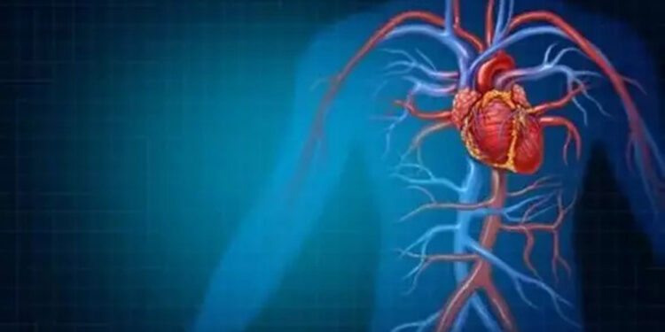 Uzmanından kolesterolü dengede tutmanın yolları