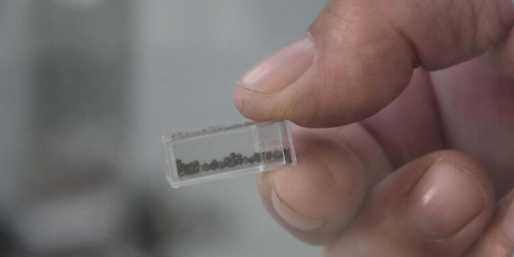 Yassıtepe Höyüğü'nde 5 bin yıllık incir çekirdekleri