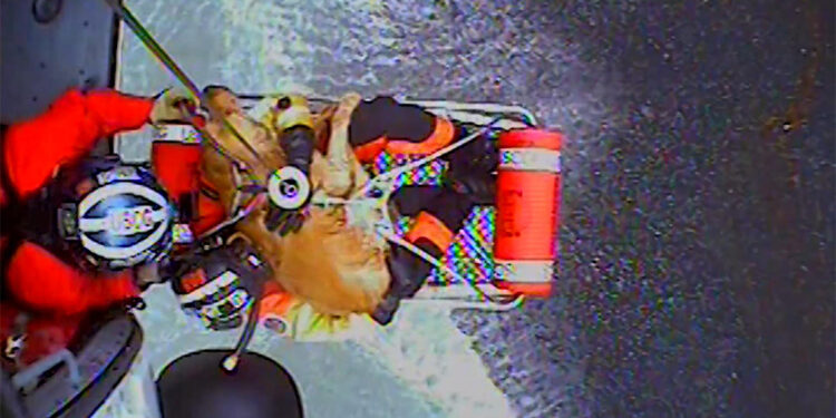 Uçurumda mahsur kalan köpek operasyonla kurtarıldı