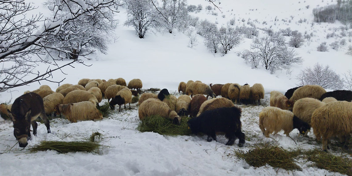Van'da etkili olan kar yağışı, günlük yaşamı olumsuz etkilerken, Bahçesaray'da eğitime 1 gün ara verildi.