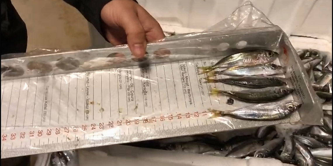 2023'te kaçak avcılığa yönelik 171 bin 219 denetim gerçekleştirildi