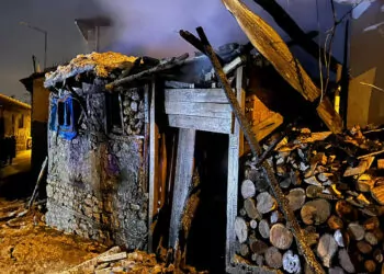 Bursa'da iki katlı ahırda çıkan yangında 10 inek öldü