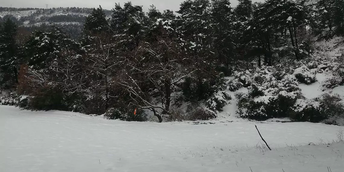 Çanakkale'nin yüksek kesimlerinde kar yağışı