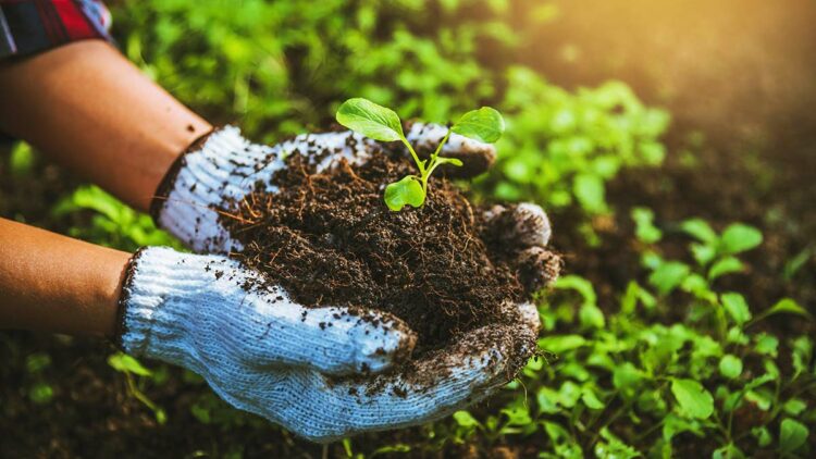 Kasım 2023 dönemine ilişkin Tarım-GFE verileri açıklandı