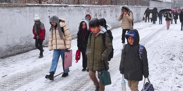 Çığ riski nedeniyle Van-Bahçesaray kara yolu 13 gündür kapalı