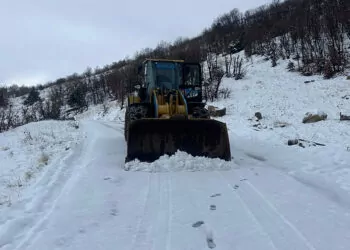 Diyarbakır'da kardan kapanan 22 mahalle yolu açıldı