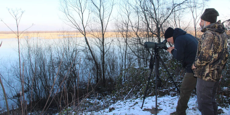 İlk kez gölde ak kuyruklu kartal gözlendi