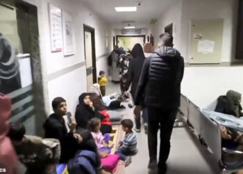 Gazze Şeridi'nde 24 bin 100 sivil hayatını kaybetti