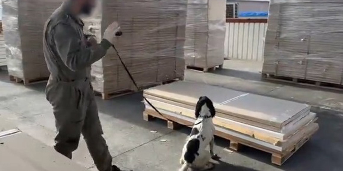 Gümrüklerde 5 milyar 474 milyon lira değerinde uyuşturucu ele geçirildi