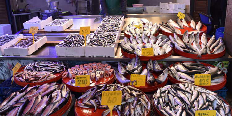 Fırtına nedeniyle tezgahlarda balık fiyatları yükseldi