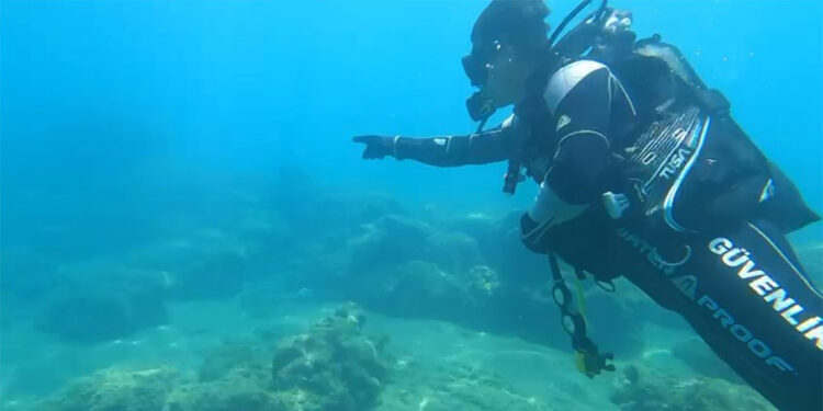 Su altında 140 kafes ele geçirildi; balıklar serbest bırakıldı