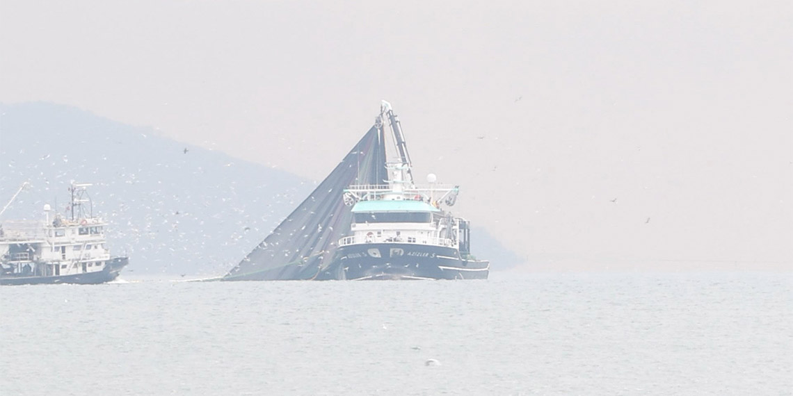 İstanbul Boğazı'nda tekneler kıyıya yaklaştı, "24 metre" tartışması çıktı