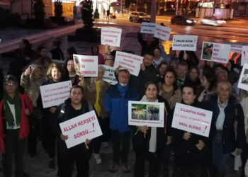 İzmir'de hayvanseverler köpek ölümlerine tepki gösterdi